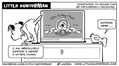 Little Hunterman – TV Cats