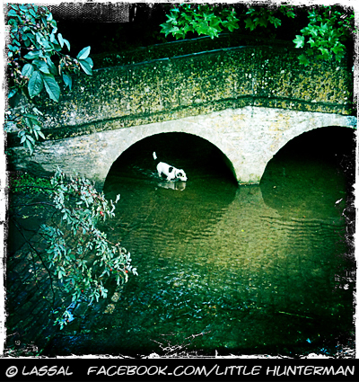 Little Hunter - Exploring Lacock