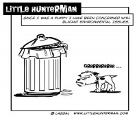 Little Hunterman - Environmental Issues