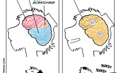 Brain Works … Or Something