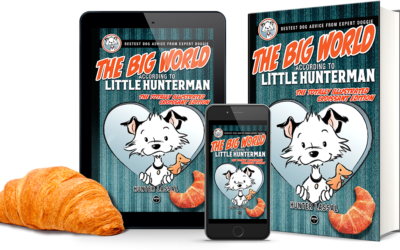 The Big World According to Little Hunterman – Leave a Review-Thingy