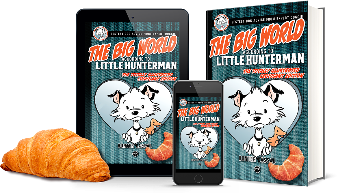 The Big World According to Little Hunterman – Leave a Review-Thingy