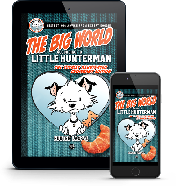 The Big World According to Little Hunterman eBook