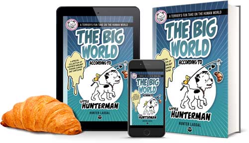 The Big World According to Little Hunterman – Leave a Review-Thingy